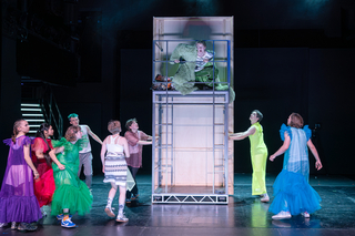 Peer Gynt (6)